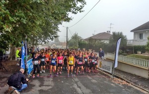 La trottine des copines (5 - 11 kms)